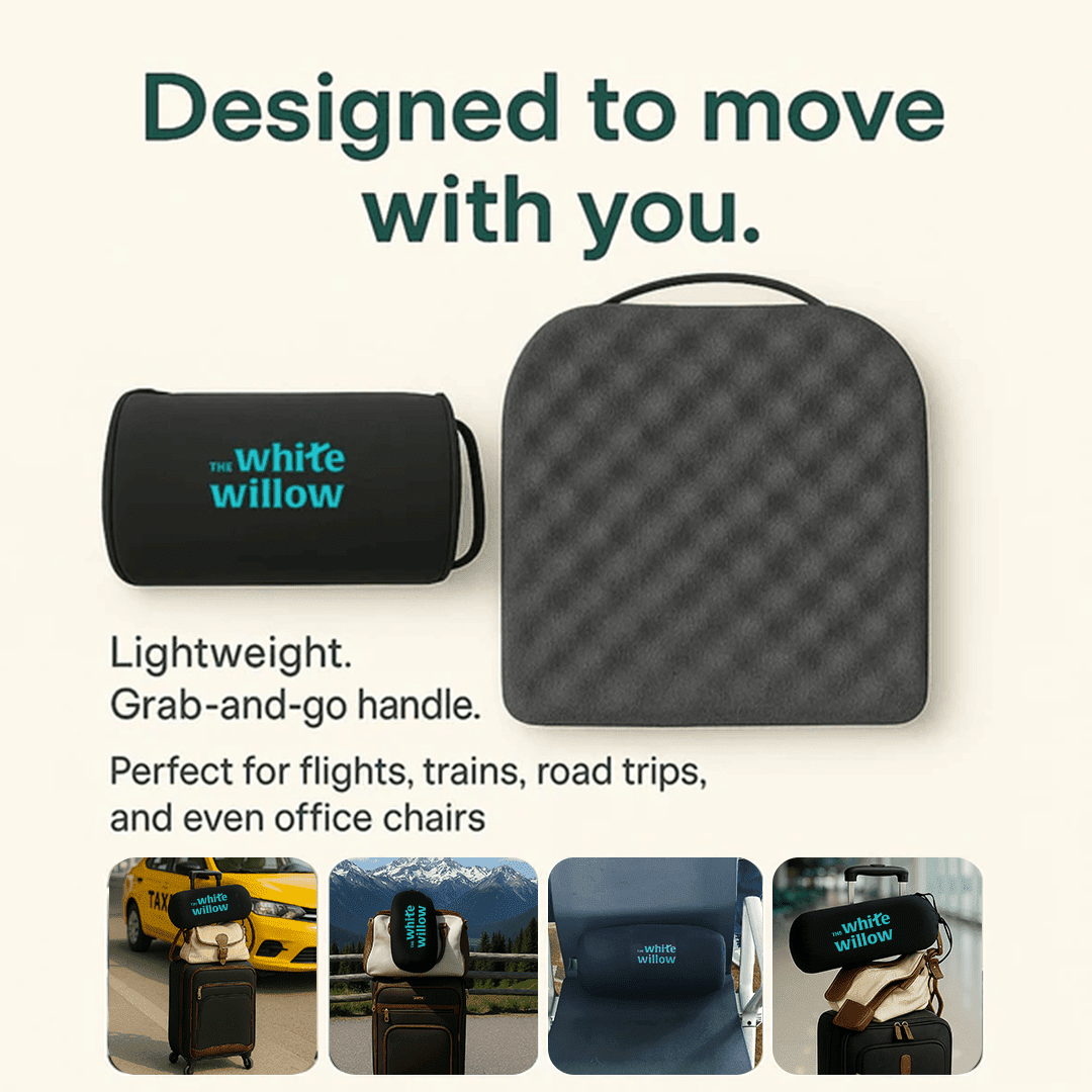 TravelEase Travel Seat Cushion