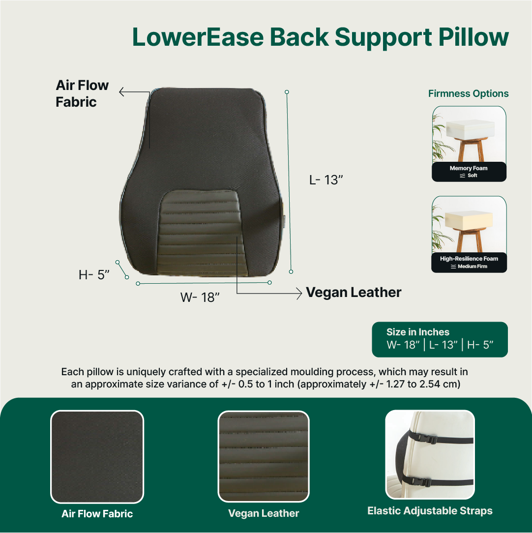LowerEase Back Support Pillow