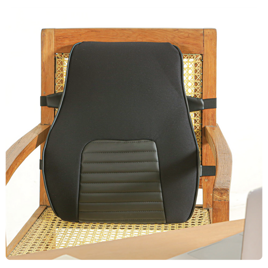 LowerEase Back Support Pillow